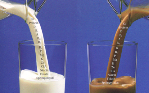 MilkComparison (glasses)