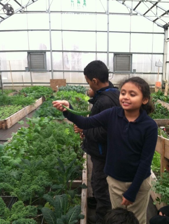 FoodCorps Massachusetts at the Food Project 