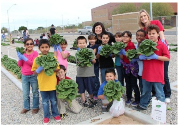 March 2013: AMAZING lettuce planted, grown and harvested in the "Garden of Learning," Gary A Knox Elementary School, Crane, Arizona