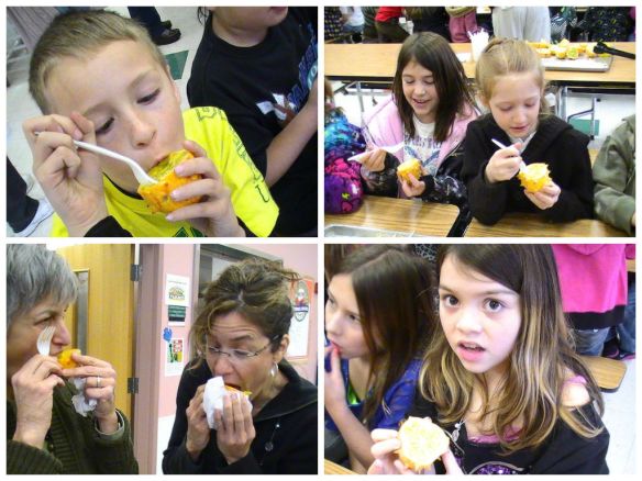 Cuke-asaurus (aka Horned Melon), Parkside Elementary, Grants Pass, Oregon