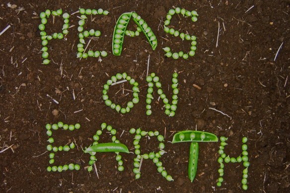 Peas on Earth1