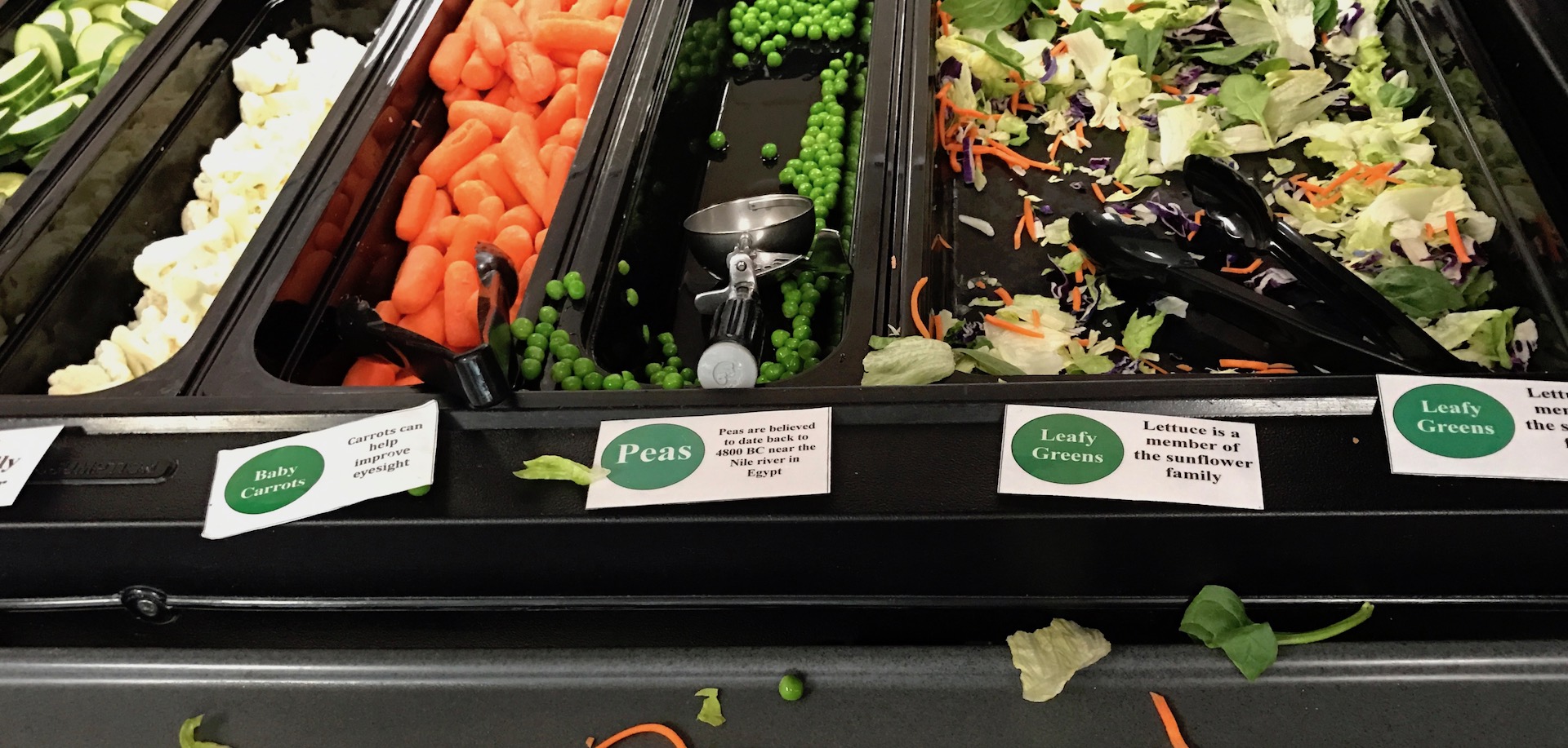Blog2 Salad Bar